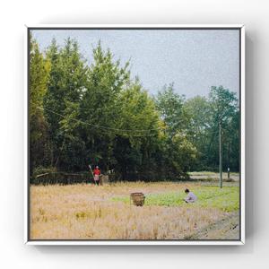 男男+纯肉+茎交
